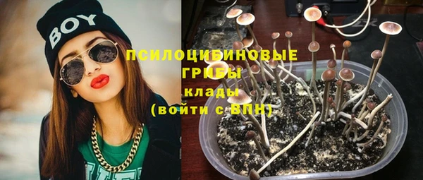 прущие крисы Алексеевка