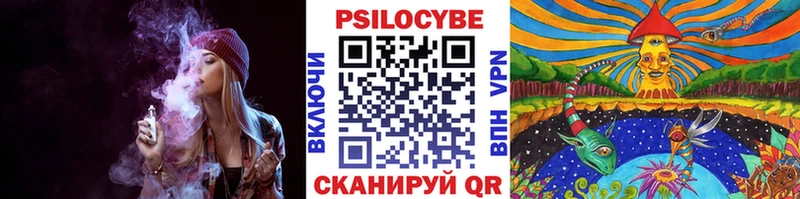 купить закладку Краснознаменск Псилоцибиновые грибы ЛСД
